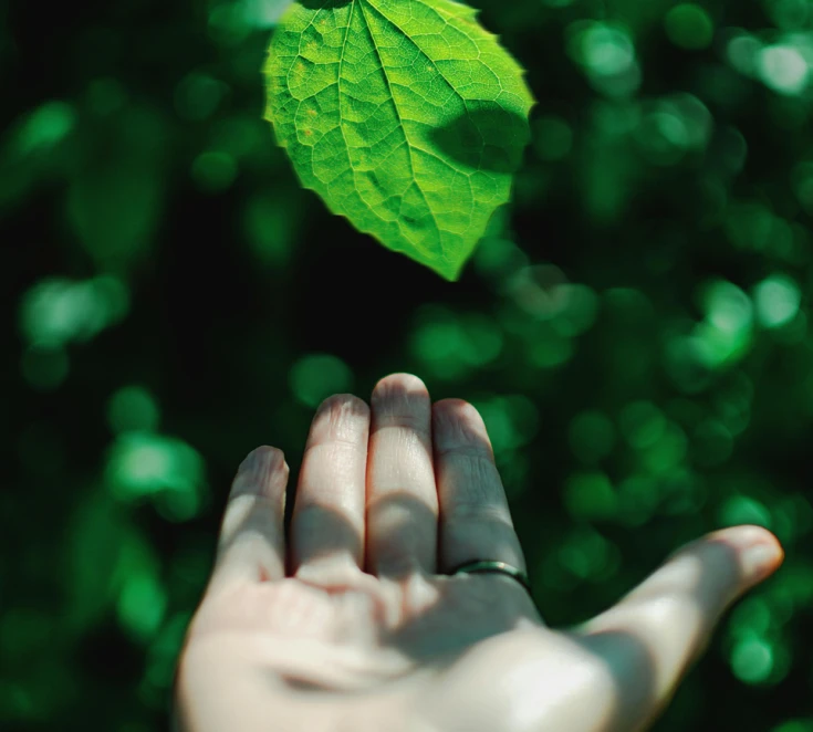 ENVIRONMENTALLY FRIENDLY PRODUCTION